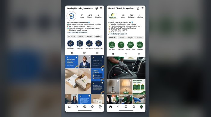 I will design your social media visuals and bios