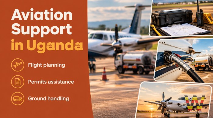 We will provide aviation consultancy and ground support